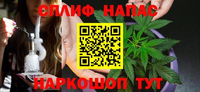 шишки Краснознаменск