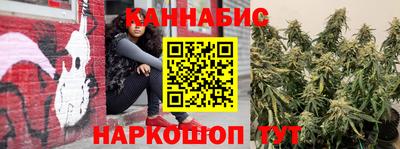 шишки Краснознаменск