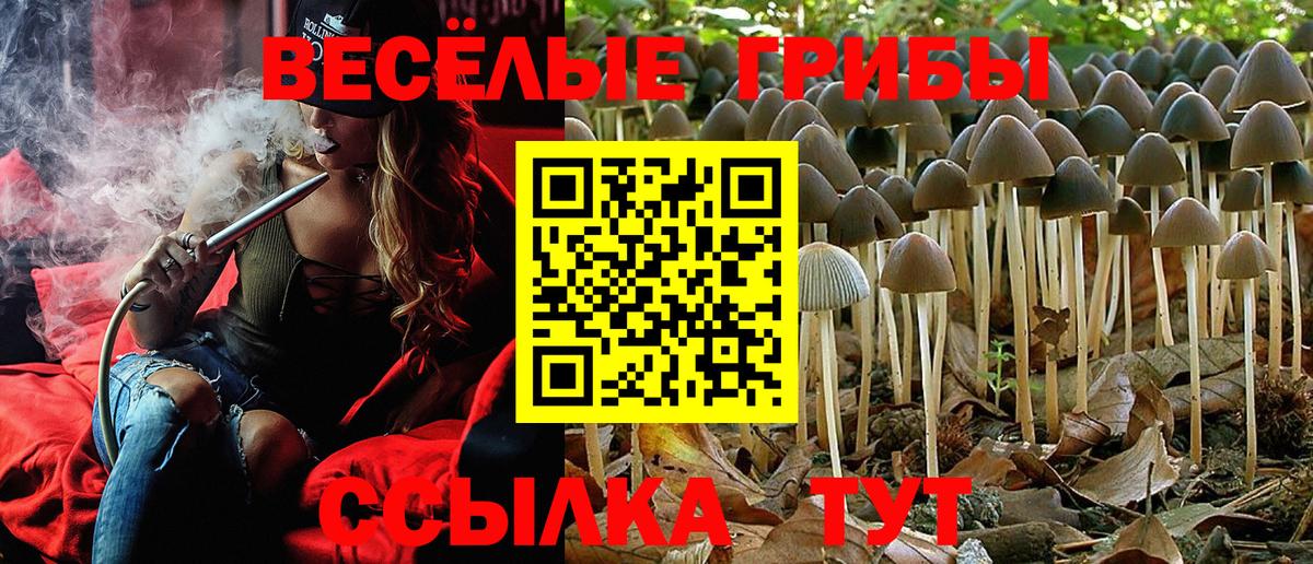 Псилоцибиновые грибы мухоморы Екатеринбург
