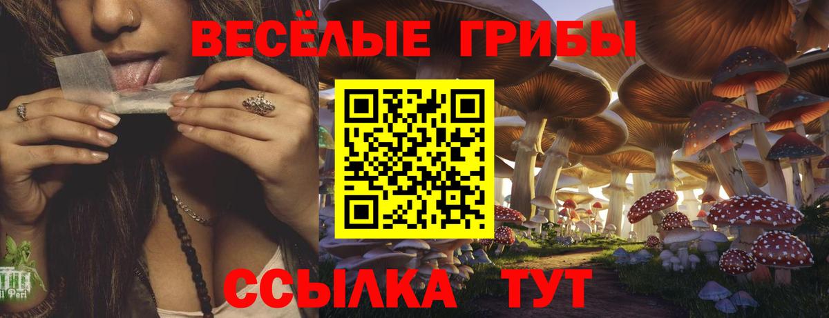 Екатеринбург  Галлюциногенные грибы мицелий  Вход с VPN  Псилоцибиновые грибы мицелий 